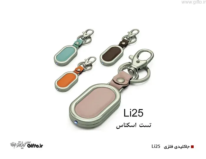 جا کلیدی فلزی Li25
